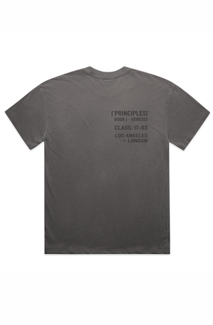 PRINCIPLE I: ['VISIONARY] TEE
