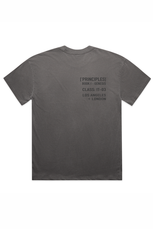 PRINCIPLE X: ['ĪCON] TEE